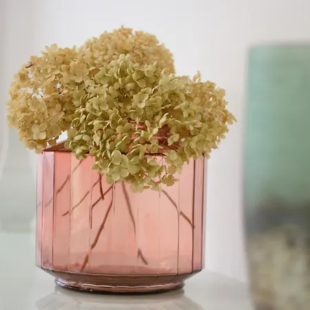 Familybo Jacqueline * Borgo Nuovo