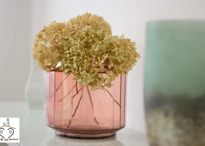 Familybo Jacqueline * Borgo Nuovo